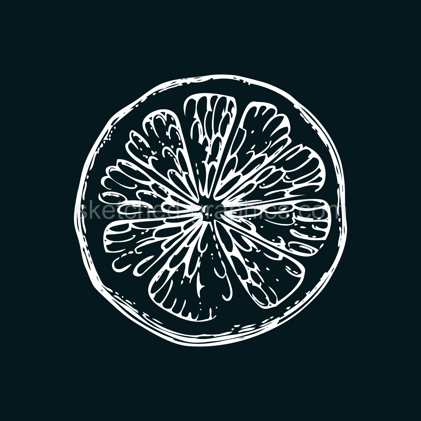 Vintage lime sketch on chalkboard. Citrus fruit slice hand-drawn vector illustration. Exotic plant drawing in engraved style. Botanical design element. NOT AI-generated Illustration